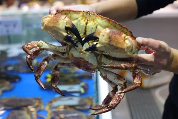 【時(shí)代儒商】膠東碼頭海鮮城淮揚(yáng)菜、魯菜、海鮮超多美味！滿足您的味蕾~~